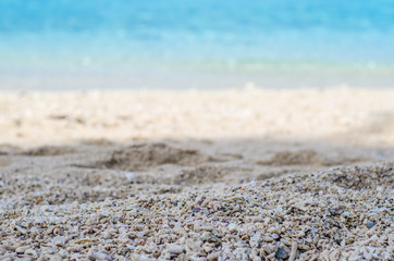 shell and sand ocean and sky background