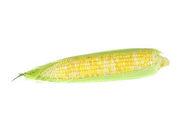 close up on fresh corn cob with husk isolated on white background