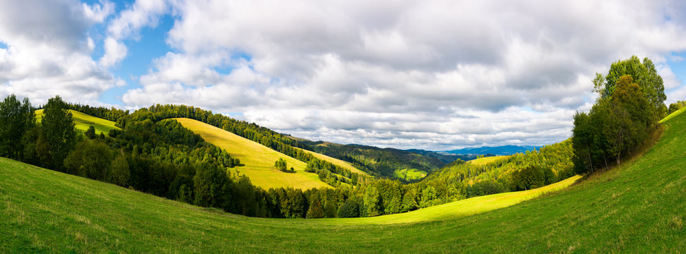 panoramic landscape in mountain.  forested hills with meadows on a sunny day. cloudy sky