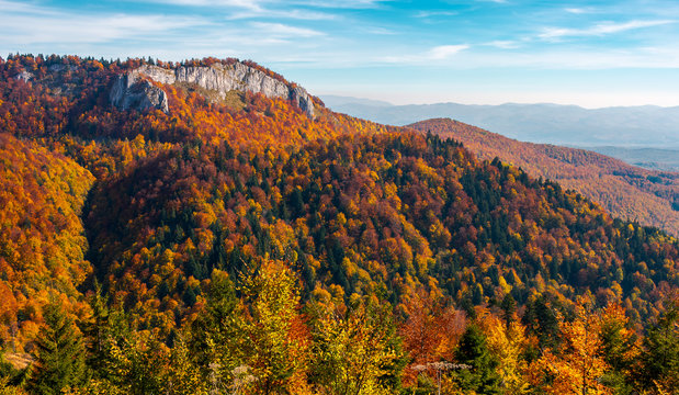 gorgeous mountainous autumn landscape. cliff above the forest with colorful foliage. beautiful view in evening light with blue sky