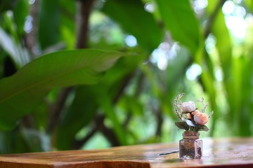 Small pink flowers in the glass bottle with green background of big plants