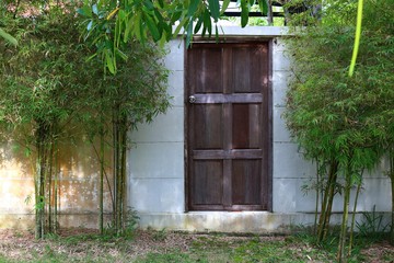 Old wooden door and bamboo trees