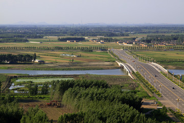 Bridges and fields in the beautiful summer