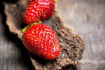 Ripe strawberry on the wooden bark. Selective focus. Shallow depth of field. 