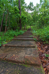 Walk up the stairs to the mountain.