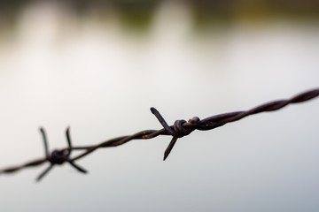 close up old barbed wire fence.