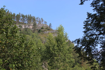 nature
