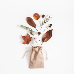 Autumn composition. Eucalyptus branches, cotton flowers, dried leaves on white background. Autumn, fall concept. Flat lay, top view, square