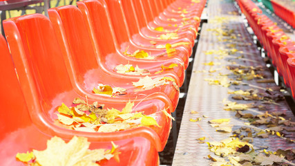 Side view of rows of red color chairs with yellow autumn leaves on them.