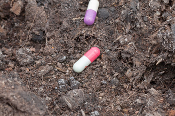 close up of pill on dirt and plant at farm