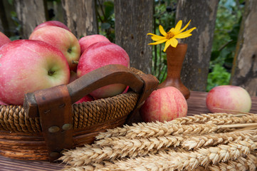 Red apples in a basket and and ears