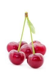Cherries with petioles isolated.