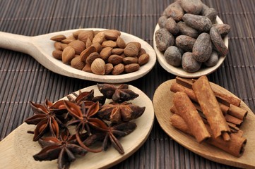Concept with ingredients for chocolate, cocoa beans, cinnamon, anise, apricot beans on wooden spoons on brown background, side view, selective focus