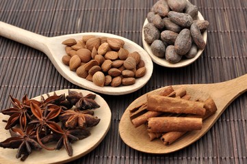 Concept with ingredients for chocolate, cocoa beans, cinnamon, anise, apricot beans on wooden spoons on brown background, side view, selective focus
