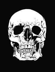  A human skull illustration white on a black background