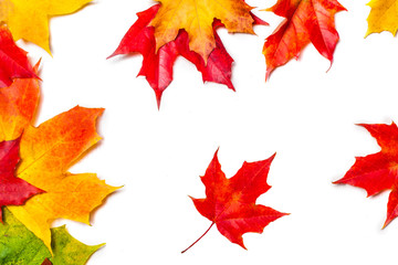 Isolated Falling autumn leaves. Abstract fall pattern. Flying  Marple leaves isolated  on white background..