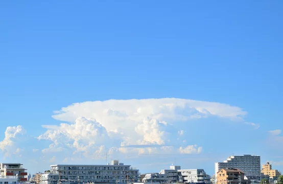 快晴の夏空に突如発生した積乱雲 金床雲 Stock Photo Adobe Stock
