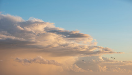 Beautiful cumulonimbus stormy rain cloud formations in Summer sunset sky with dramatic moody color...