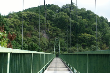 日本の岡山県高梁市の山の中の吊り橋