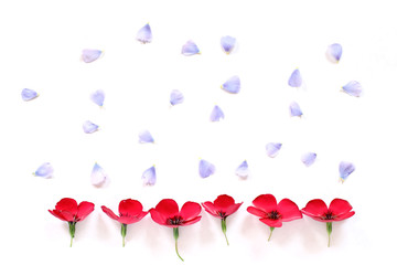 floral rain/ red flowers and blue petals on a white background
