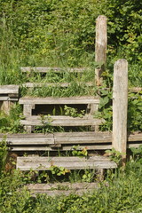 Alte Holztreppe, Stufen, Holzbalken