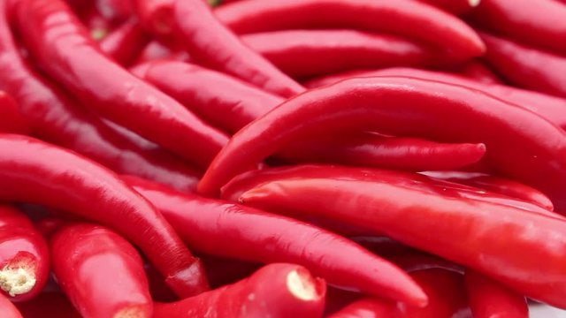 red chili rotate