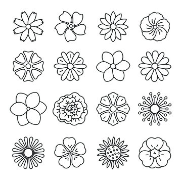 Flowers related icons: thin vector icon set, black and white kit