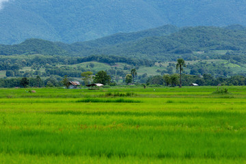 View of the countryside in the valley, Thailand