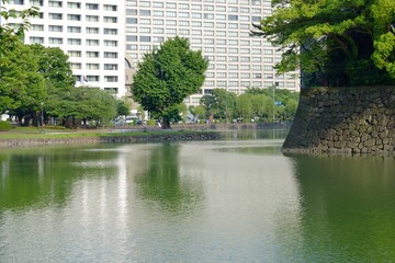 皇居のお濠と震災いちょう（東京都千代田区）