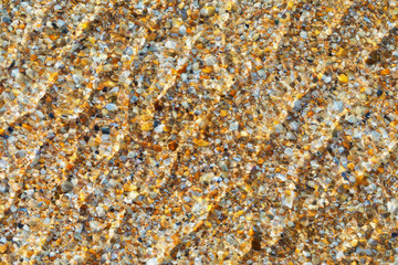 Background of seashells lying in water, top view