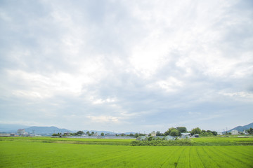 田舎の風景