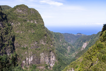 Fototapeta na wymiar Panorama view of mountain rainforest, Madeira, Portugal