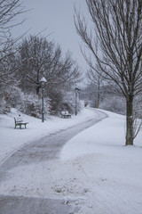 Obraz premium Winterlandschaft