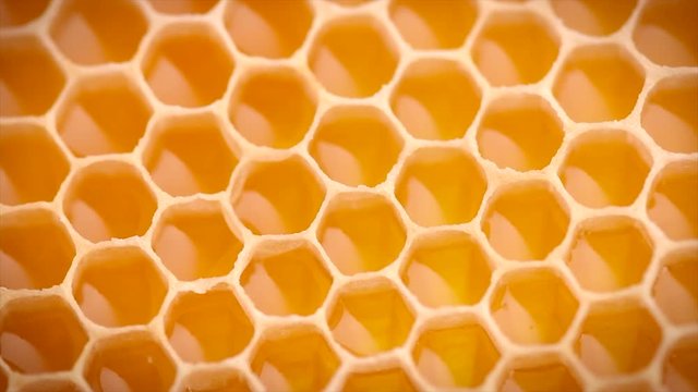 Honeycomb. Honey combs full of fresh organic sweet honey. Healthy food concept. Rotation 4K UHD video 3840X2160
