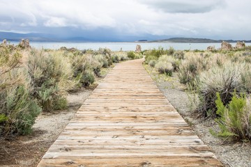 Fototapeta premium Mono Lake