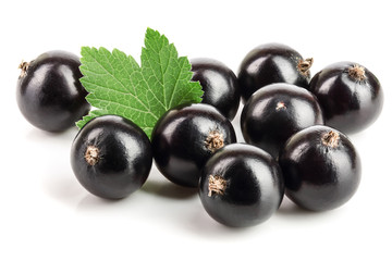 black currant with leaf isolated on white background