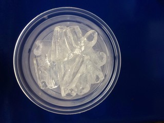 Ice blank in Plastic glass on blue background.