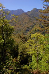 Landscapes in Spring in the mountains in Hsinchu, Taiwan