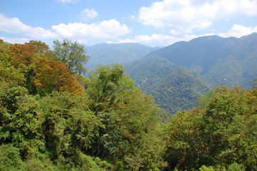 Fototapeta premium Landscapes in Spring in the mountains in Hsinchu, Taiwan