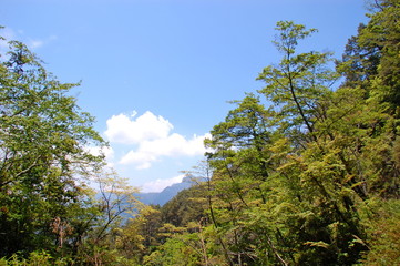 Fototapeta na wymiar Landscapes in Spring in the mountains in Hsinchu, Taiwan