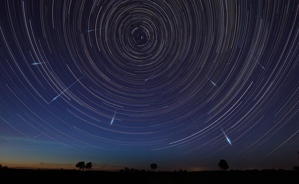 Night landscape with trees and startrails in the sky and falling stars - perseids