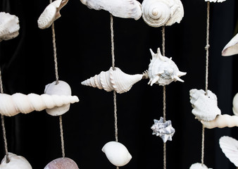 Curtain made from shell.