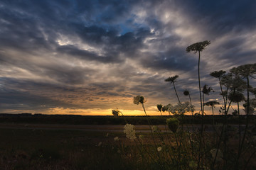 Obraz premium sunset in city