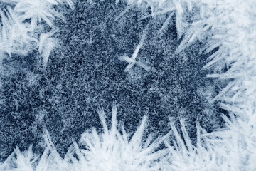 Frozen ice crystals on the ground
