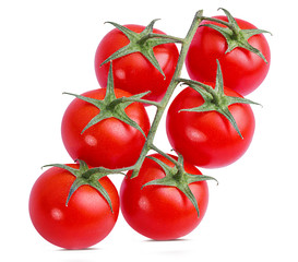 Fresh tomato branch isolated on white background with clipping path
