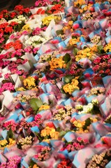 Fototapeta na wymiar Marché dominical de la place du Miroir à Jette (Bruxelles) : Fleurs 