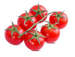 Fresh tomato branch isolated on white background with clipping path