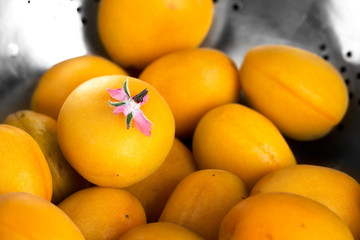Washed apricot, close-up.