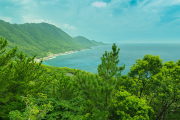Fototapeta na wymiar View of the coastal road on Yakushima island, Japan.