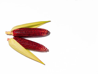 Siam Ruby Queen or Red corn of Thailand,with copoy space